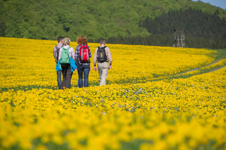 Wandern im Schmallenberger Sauerland 